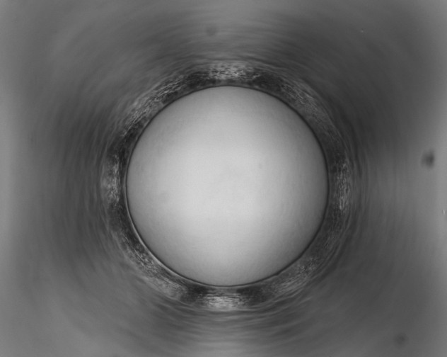 X0000116320510200912151246