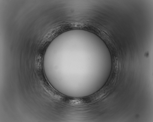 X0000116320511200912151245