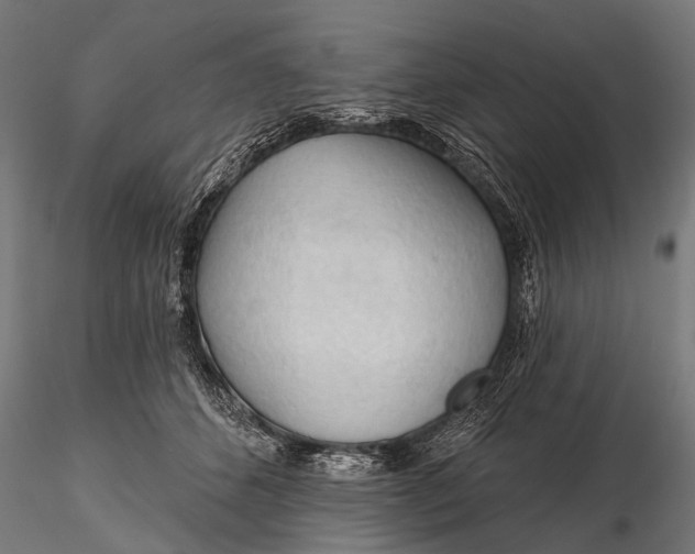 X0000116320512200912151245