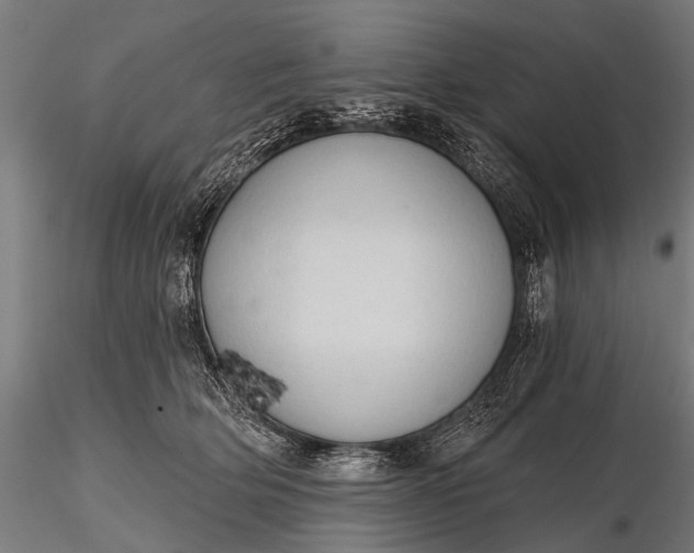 X0000116320514200912151245