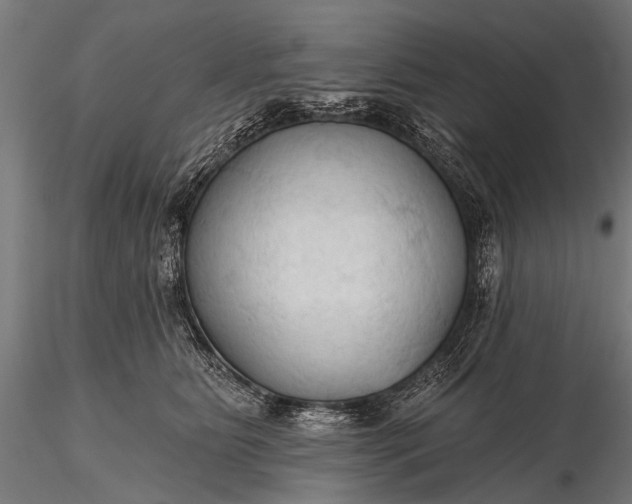 X0000116320515200912151245