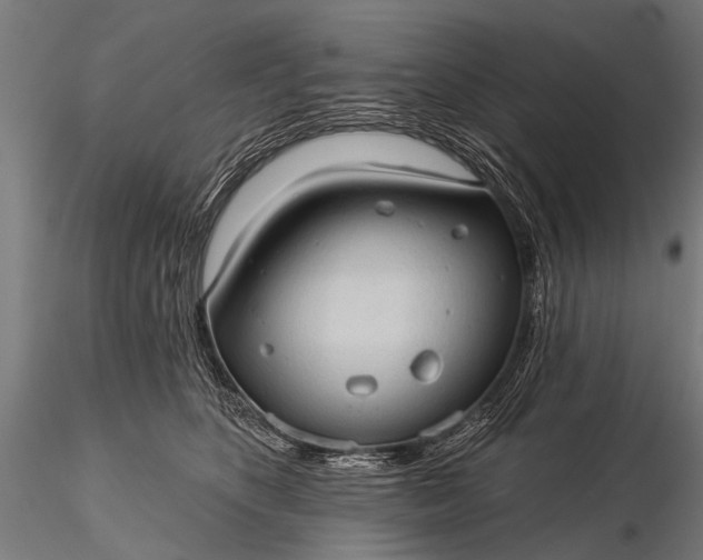 X0000116320516200912151245