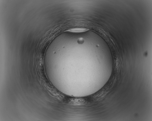 X0000116320517200912151245