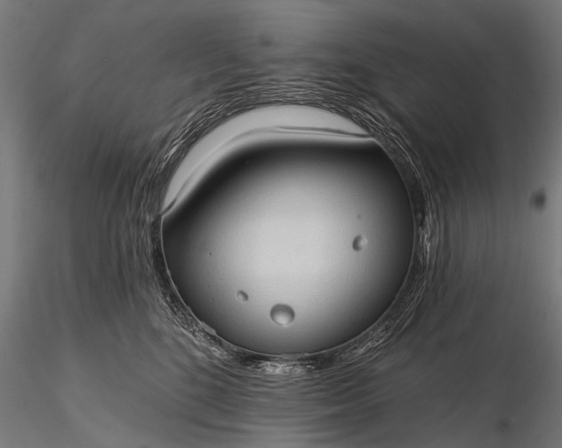 X0000116320520200912151245