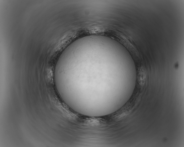 X0000116320523200912151245