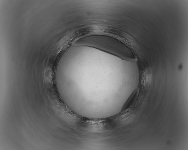 X0000116320524200912151245