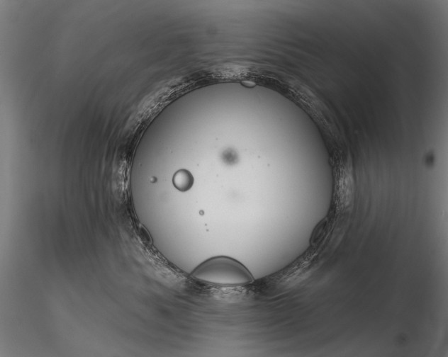 X0000116320525200912151245