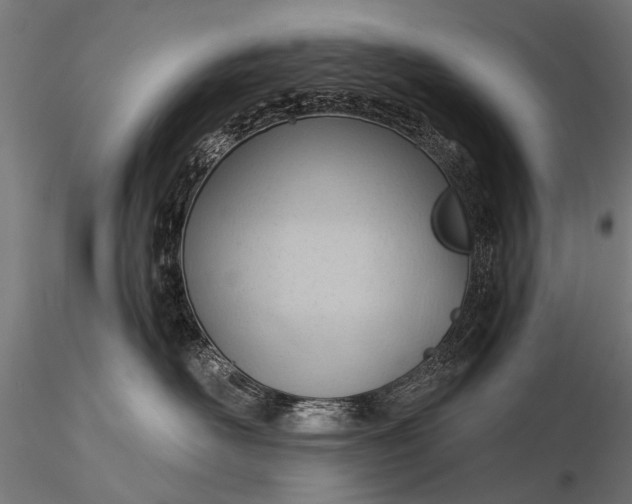 X0000116320526200912151245