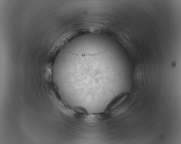 X0000116320527200912151245