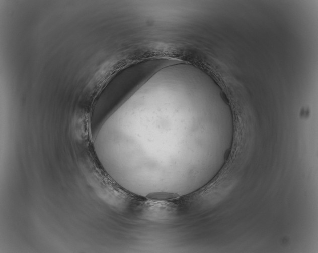 X0000116320528200912151245