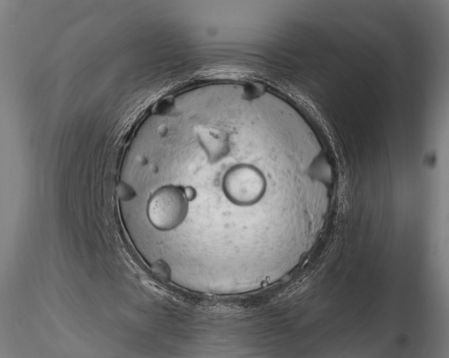 X0000116320529200912151245