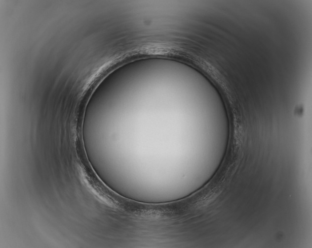 X0000116320530200912151245