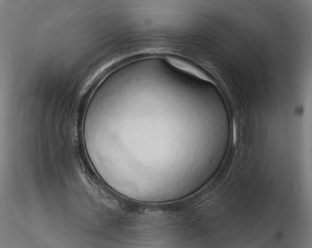 X0000116320531200912151245