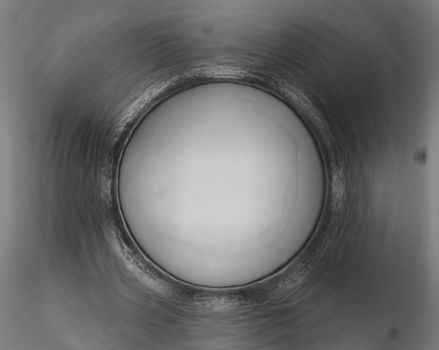 X0000116320533200912151245