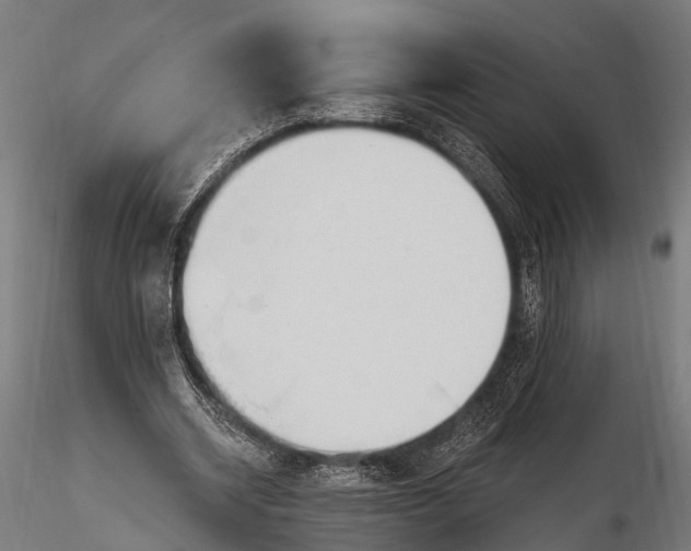 X0000116320534200912151245