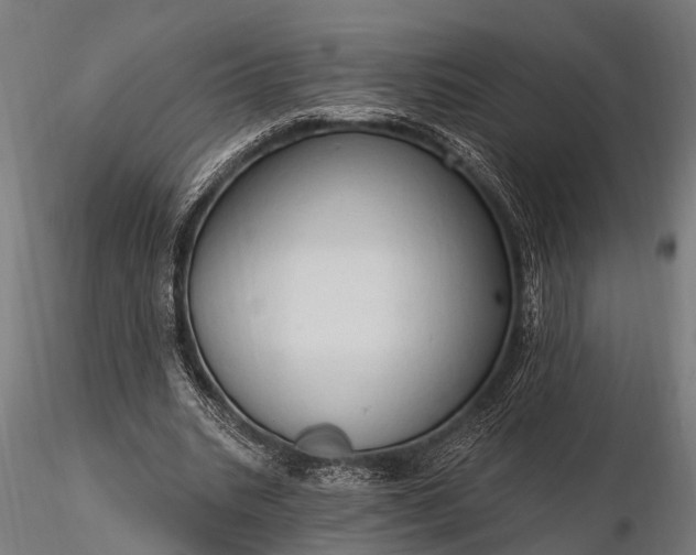 X0000116320535200912151245