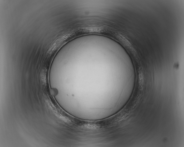 X0000116320537200912151245