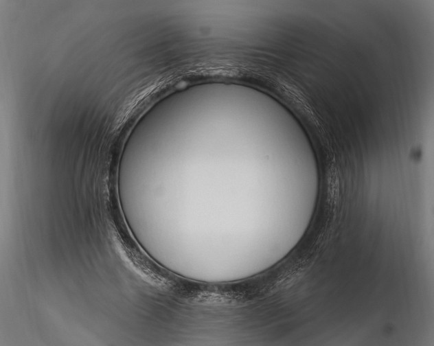 X0000116320538200912151245