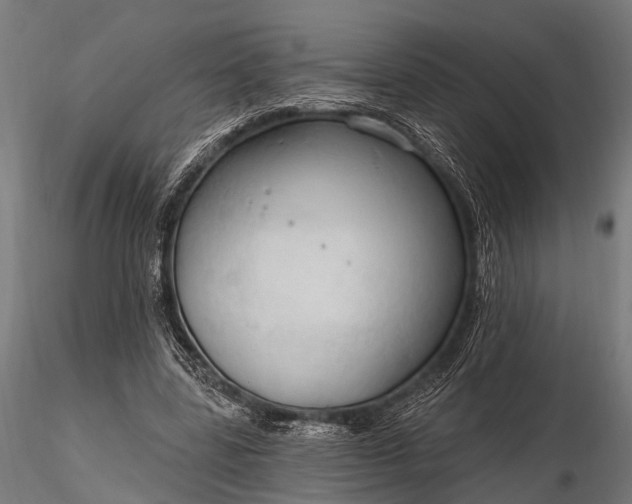 X0000116320539200912151245