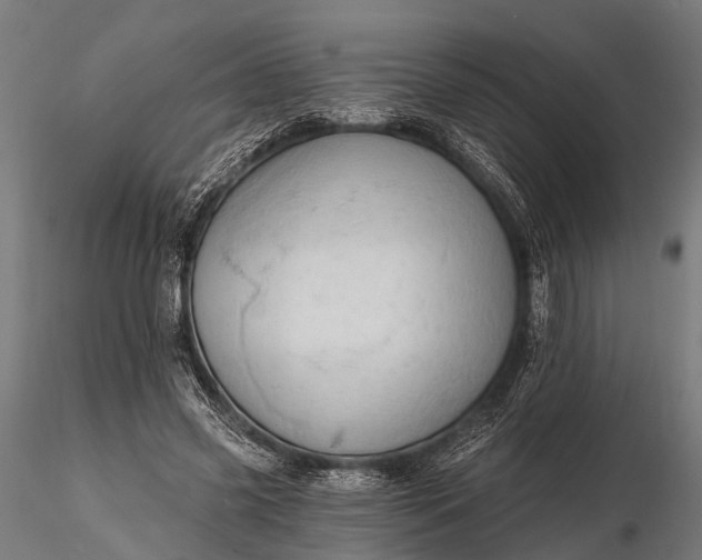 X0000116320541200912151245