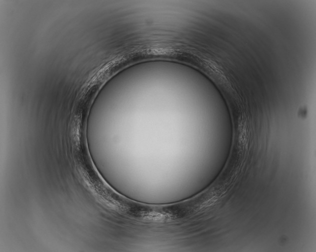 X0000116320542200912151245