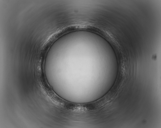 X0000116320543200912151245