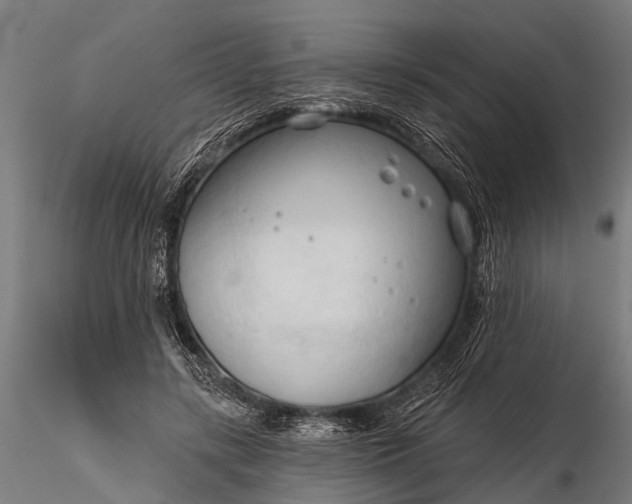 X0000116320547200912151245