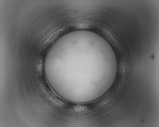 X0000116320549200912151245