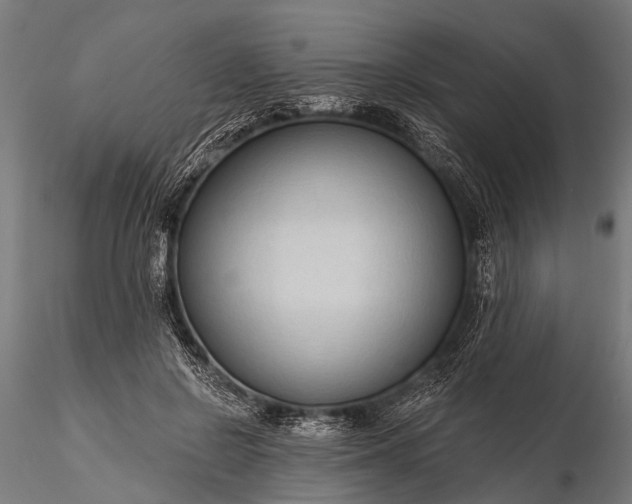 X0000116320550200912151245