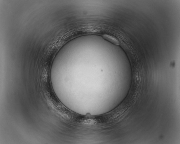 X0000116320551200912151245