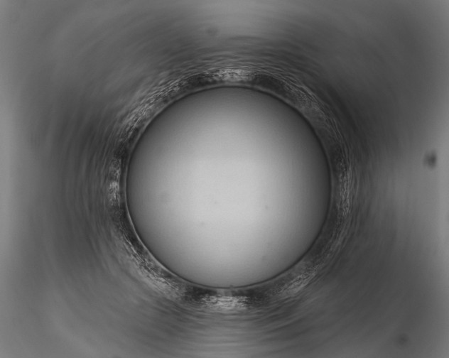 X0000116320553200912151245