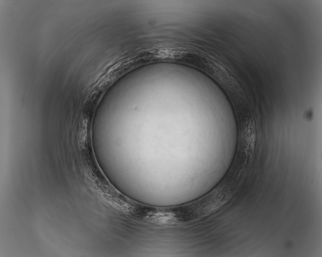 X0000116320554200912151245