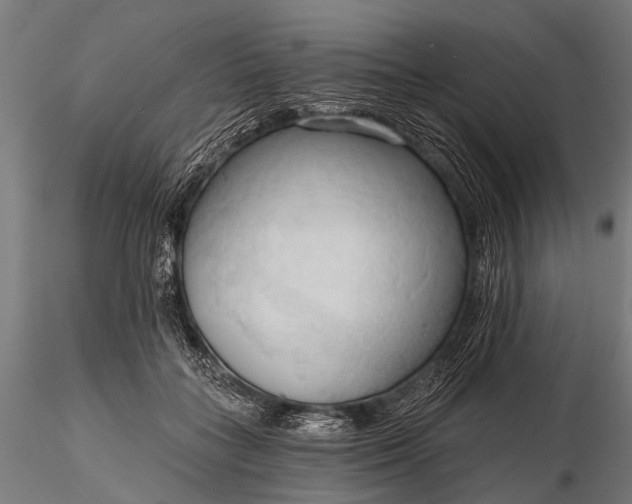 X0000116320555200912151245