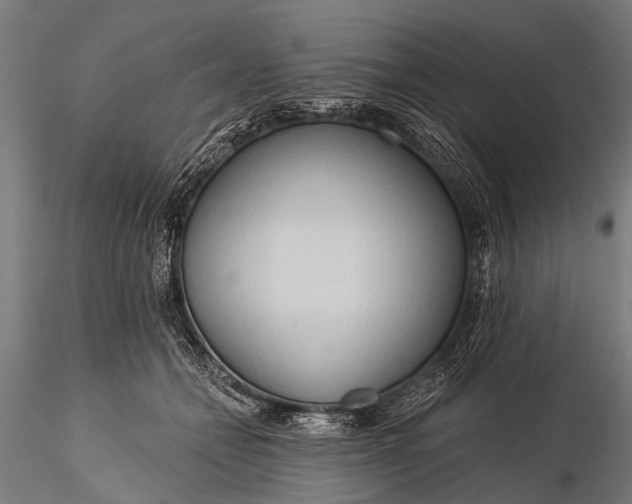 X0000116320558200912151245