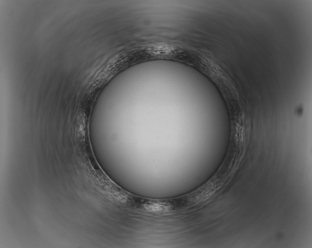 X0000116320561200912151245