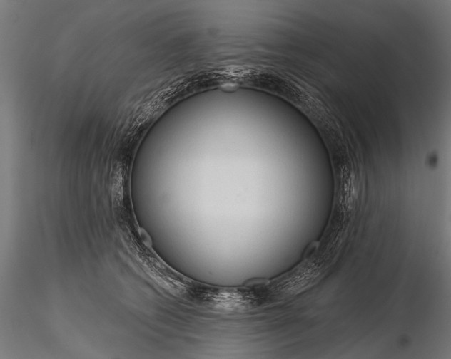 X0000116320562200912151245