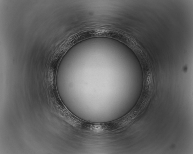 X0000116320565200912151245