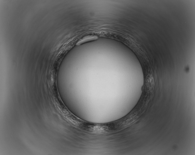 X0000116320566200912151245