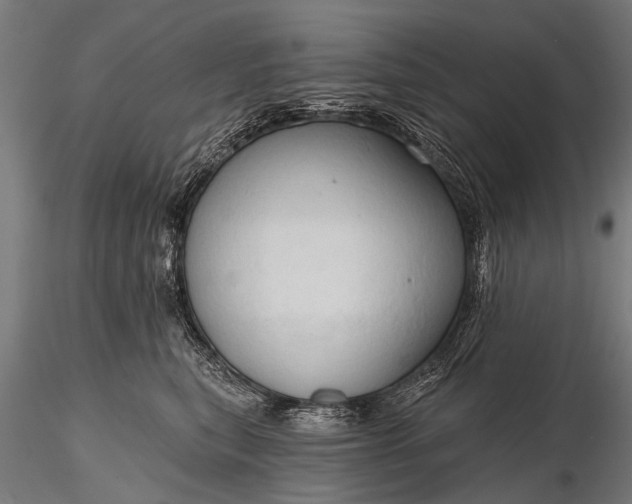 X0000116320567200912151245