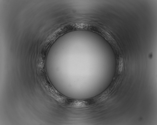 X0000116320569200912151245