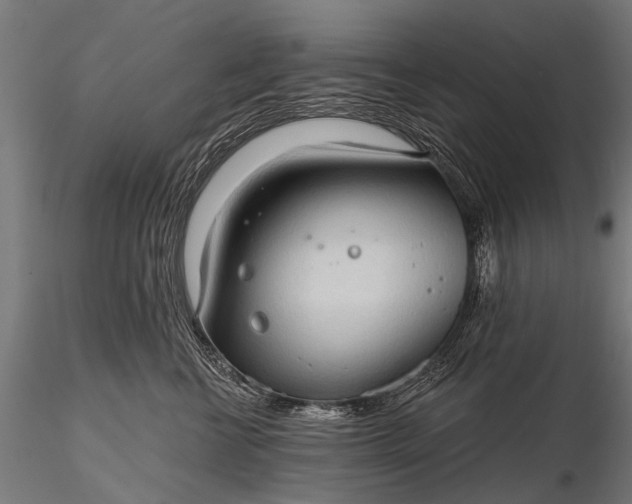 X0000116320570200912151245