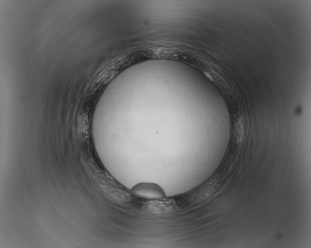 X0000116320571200912151245