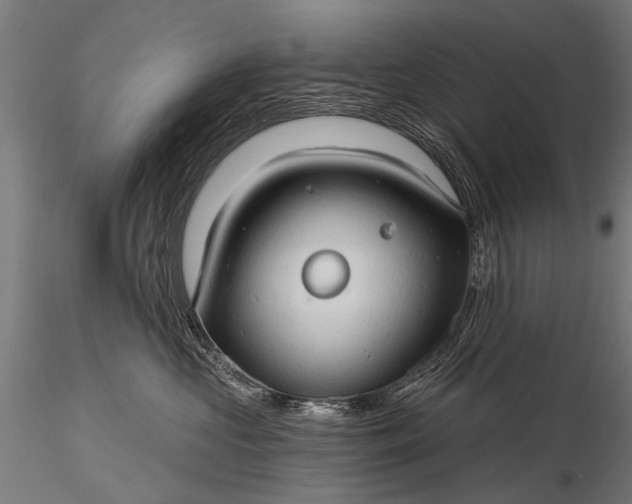 X0000116320573200912151245