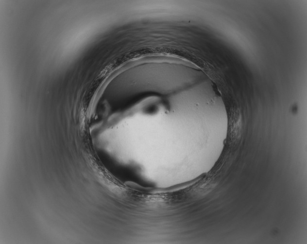 X0000116320574200912151245