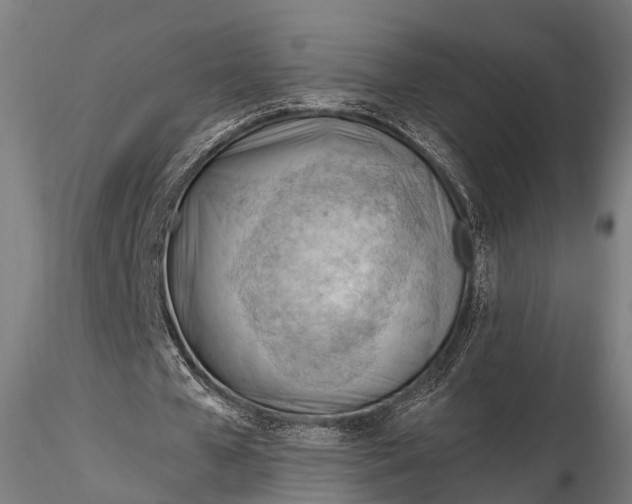 X0000116320577200912151245