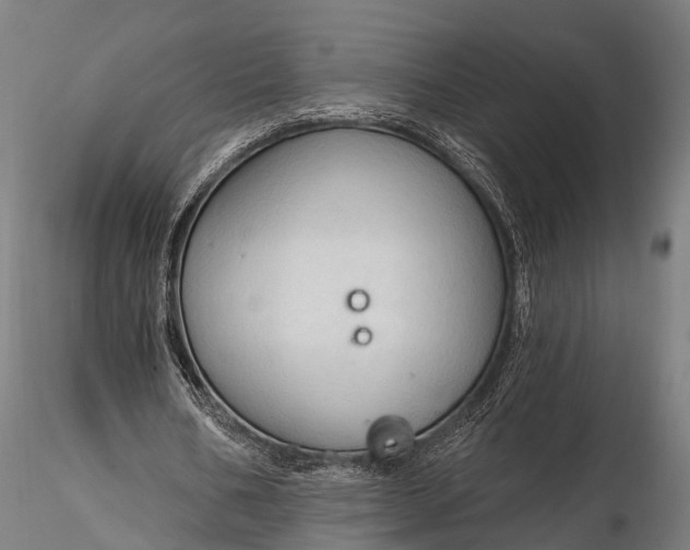 X0000116320578200912151244