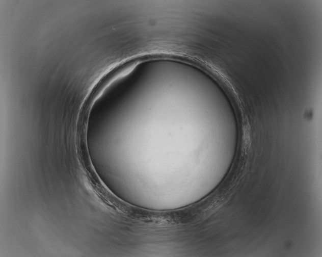 X0000116320580200912151244