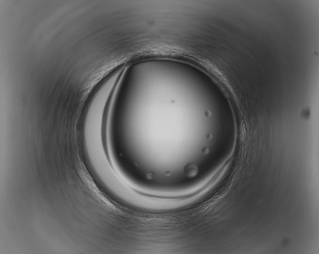 X0000116320581200912151244