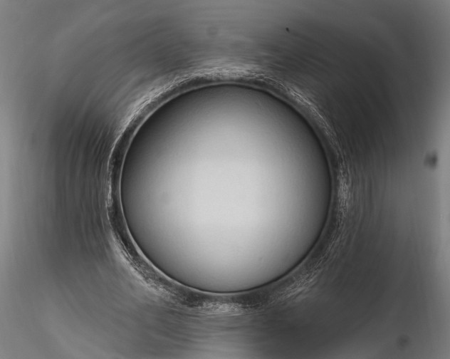 X0000116320582200912151244