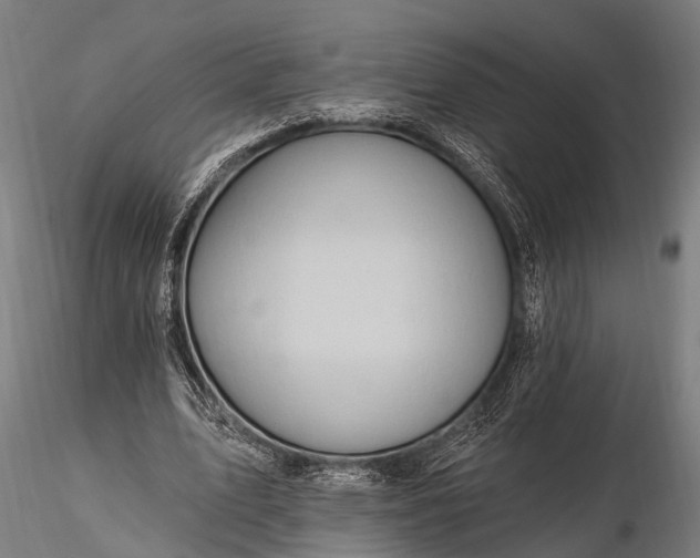 X0000116320583200912151244